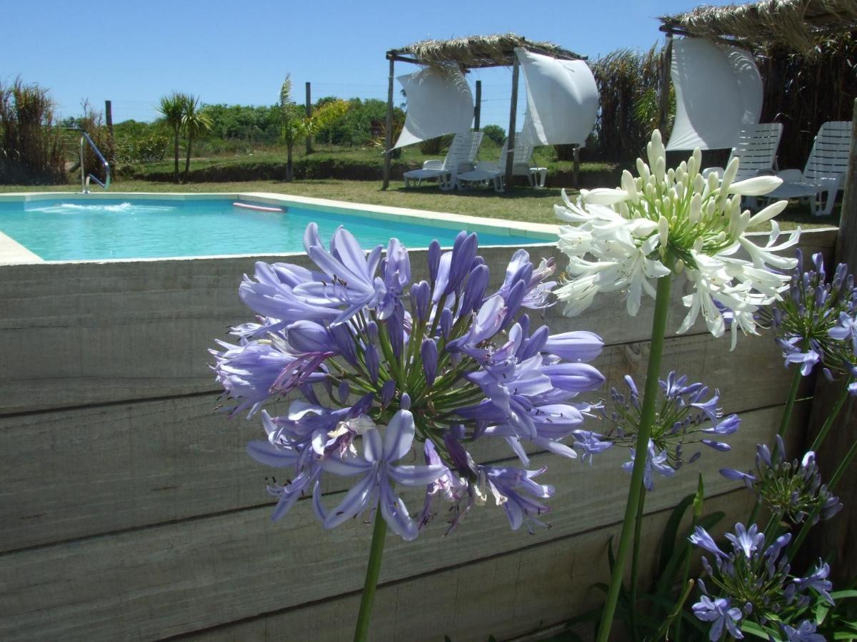 Apartamentos La Playa Piriapolis Bagian luar foto